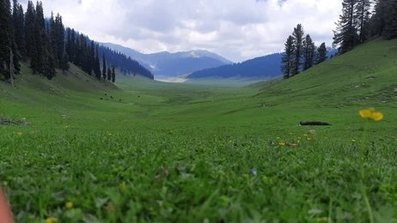 Bangus Valley