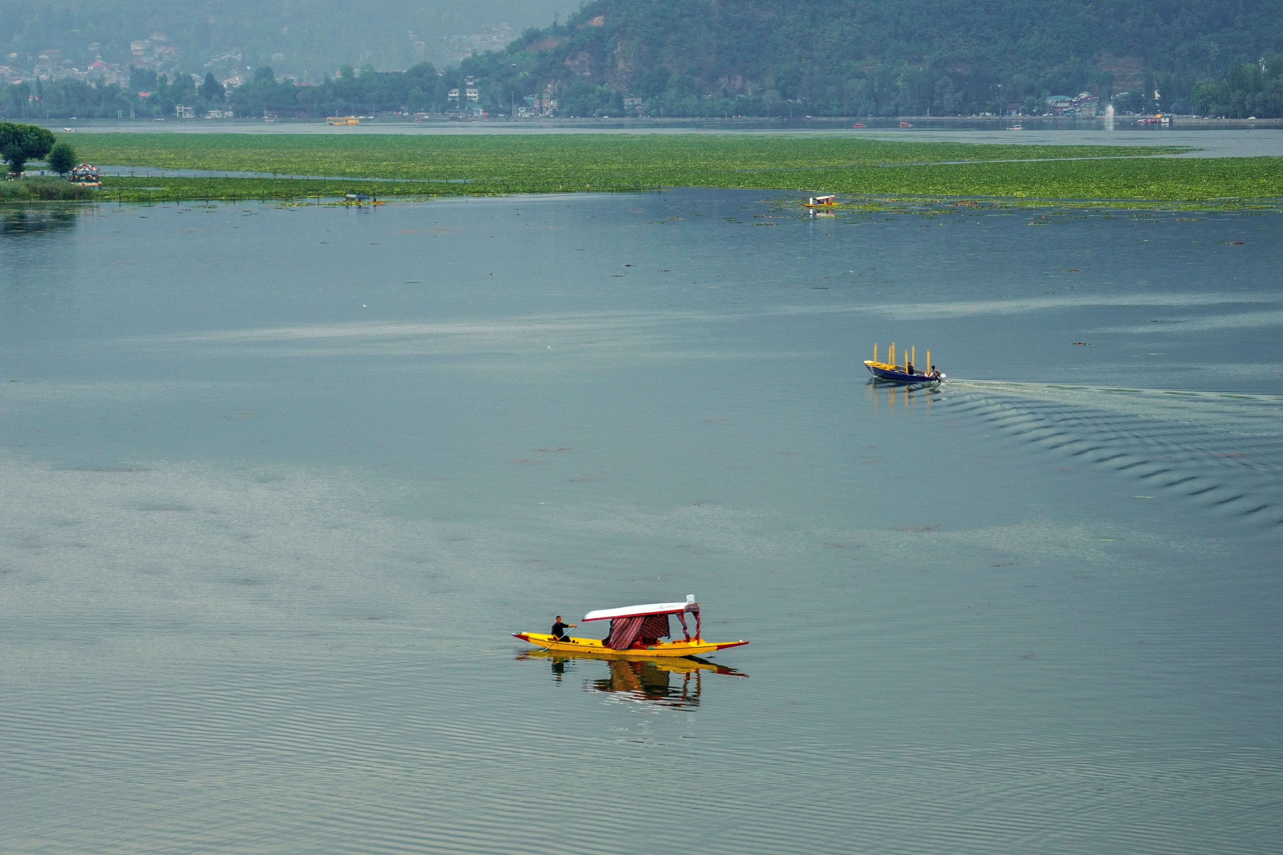 Dal Lake