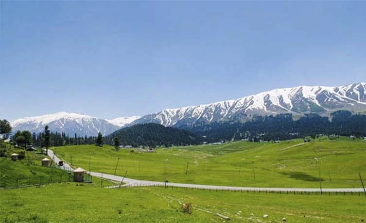 Kashmir Honeymoon
