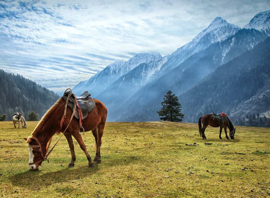 Scenic view of Pahalgam